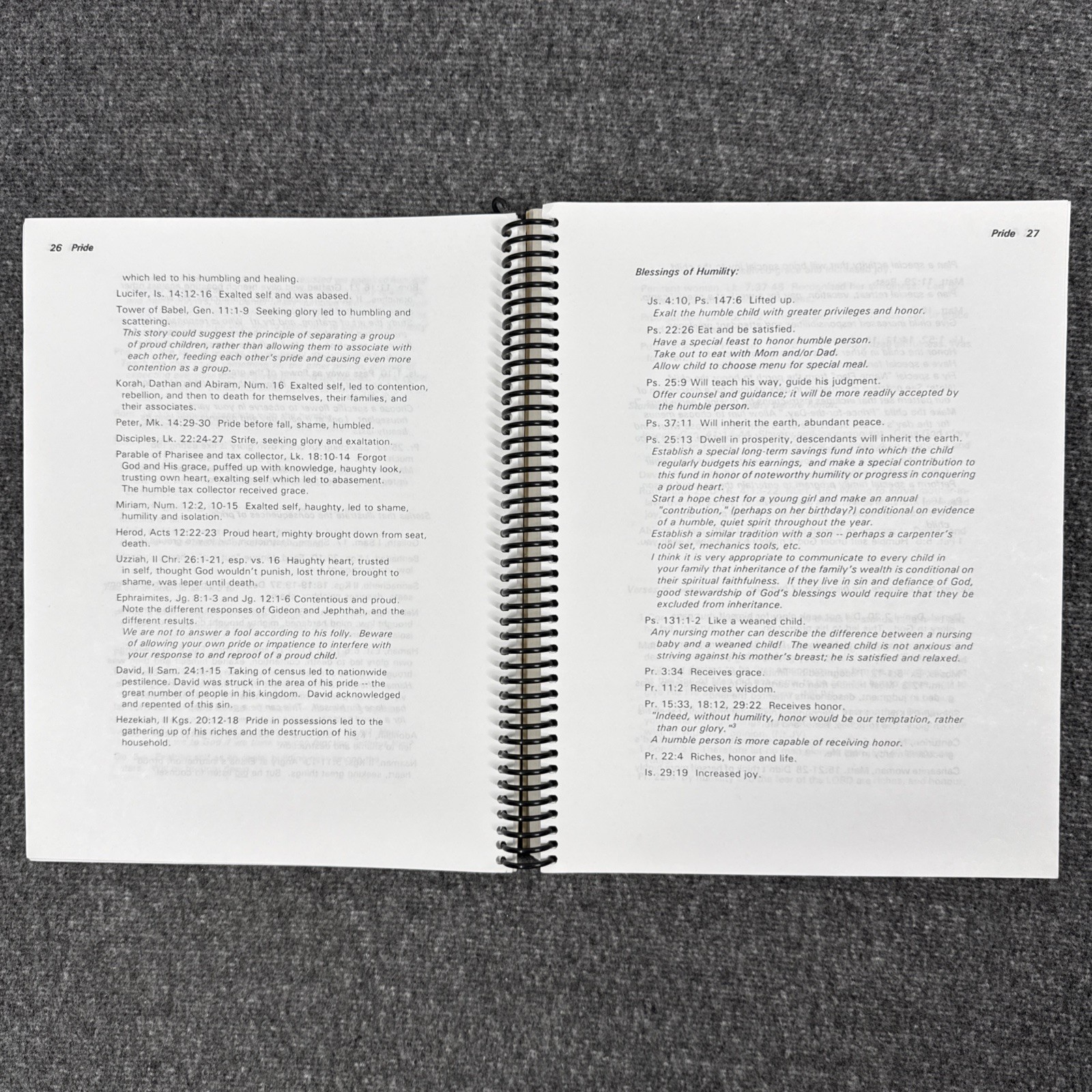 For Instruction in Righteousness (DoorPosts) Pam Forster 1995 Revised Edition