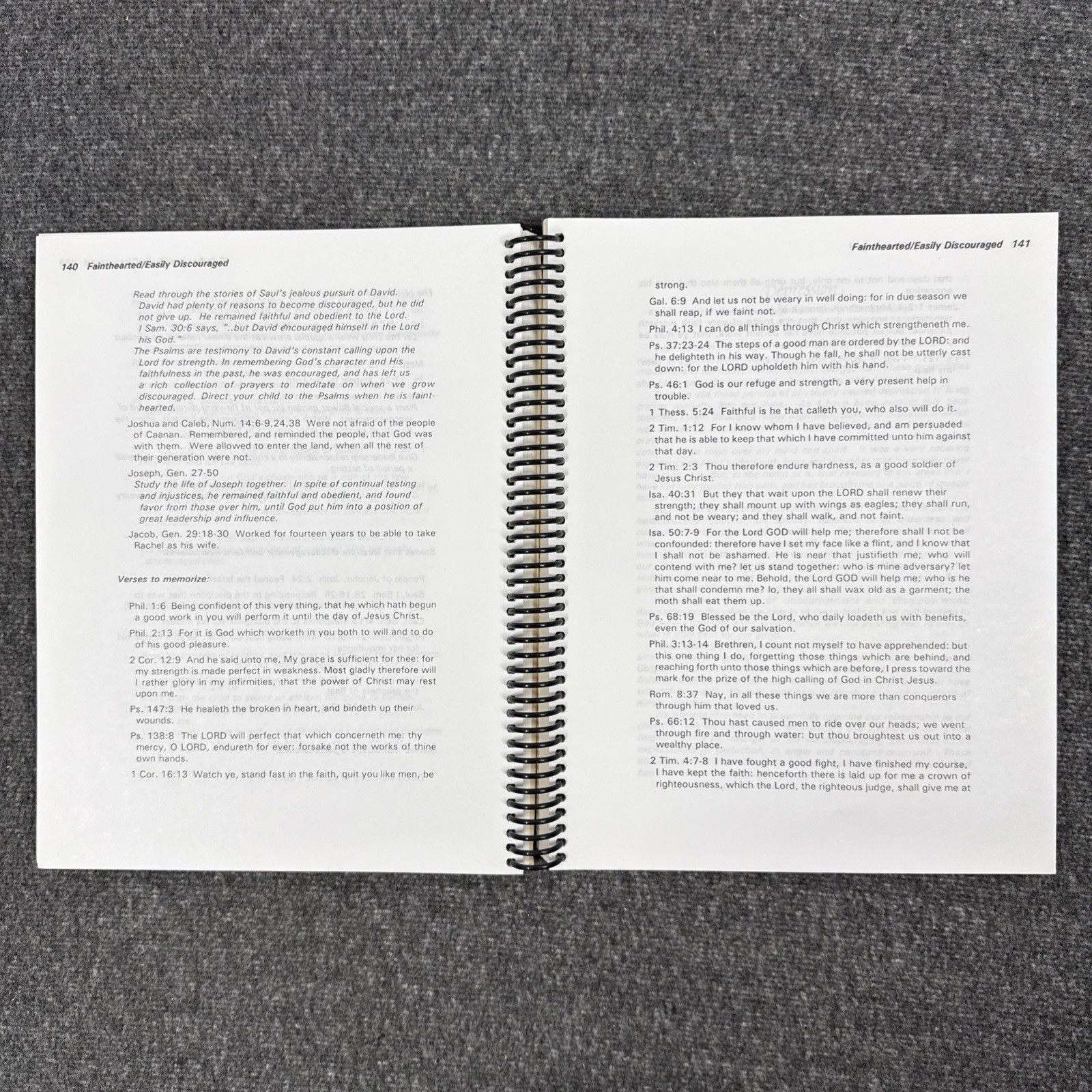 For Instruction in Righteousness (DoorPosts) Pam Forster 1995 Revised Edition