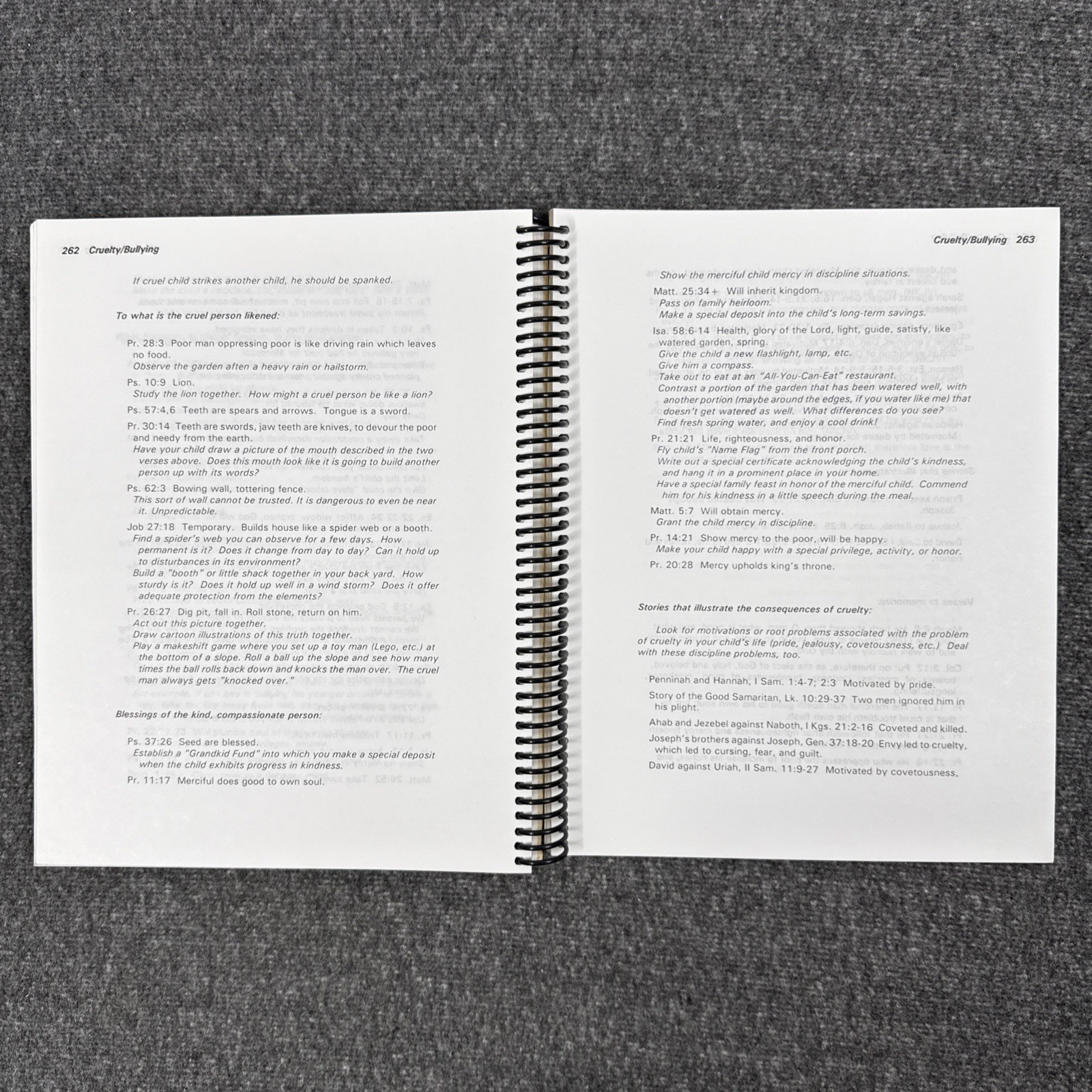 For Instruction in Righteousness (DoorPosts) Pam Forster 1995 Revised Edition