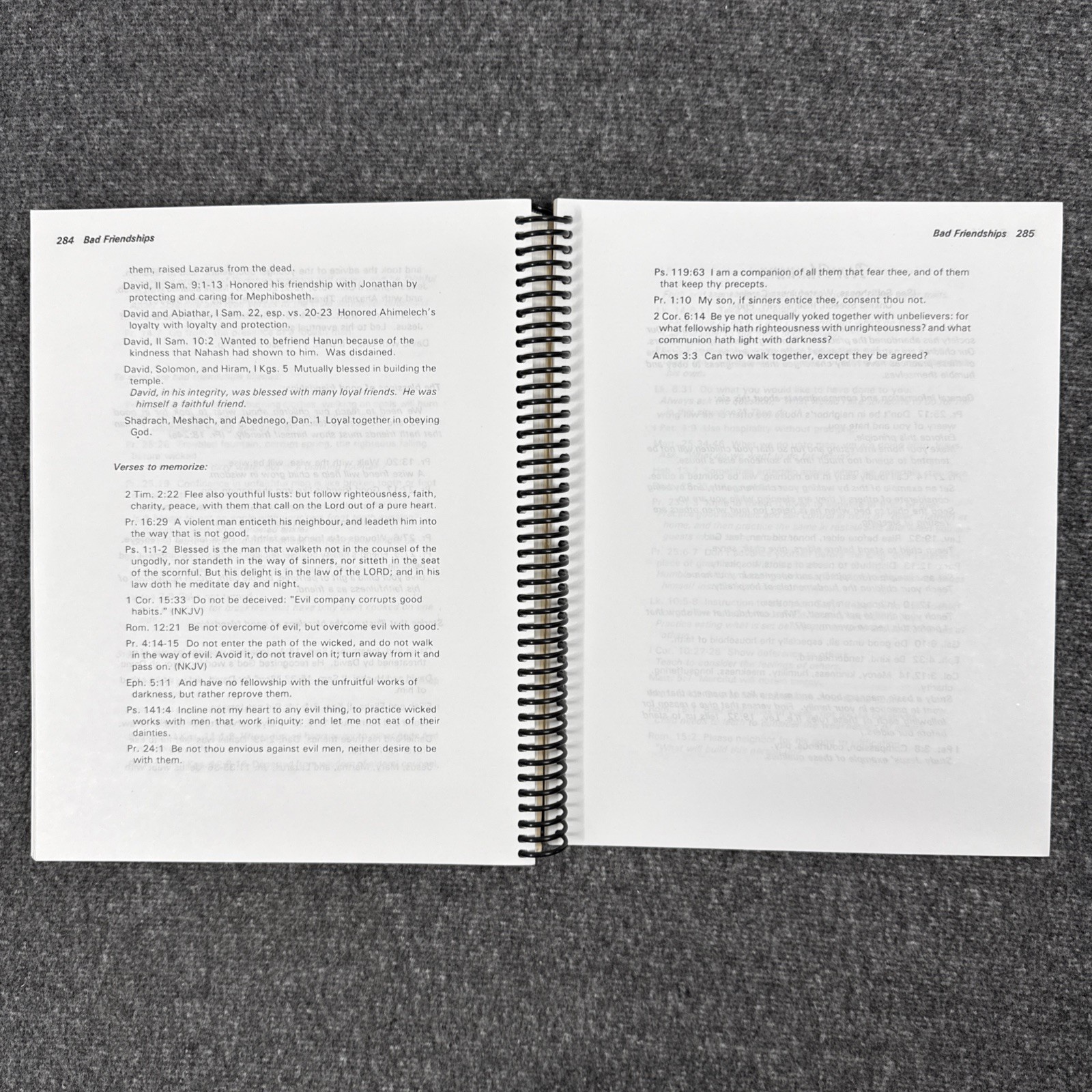 For Instruction in Righteousness (DoorPosts) Pam Forster 1995 Revised Edition