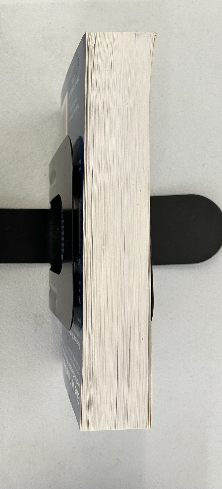 The Cure for All Cancers 100 Case Histories Hulda Regehr Clark 1993 pb