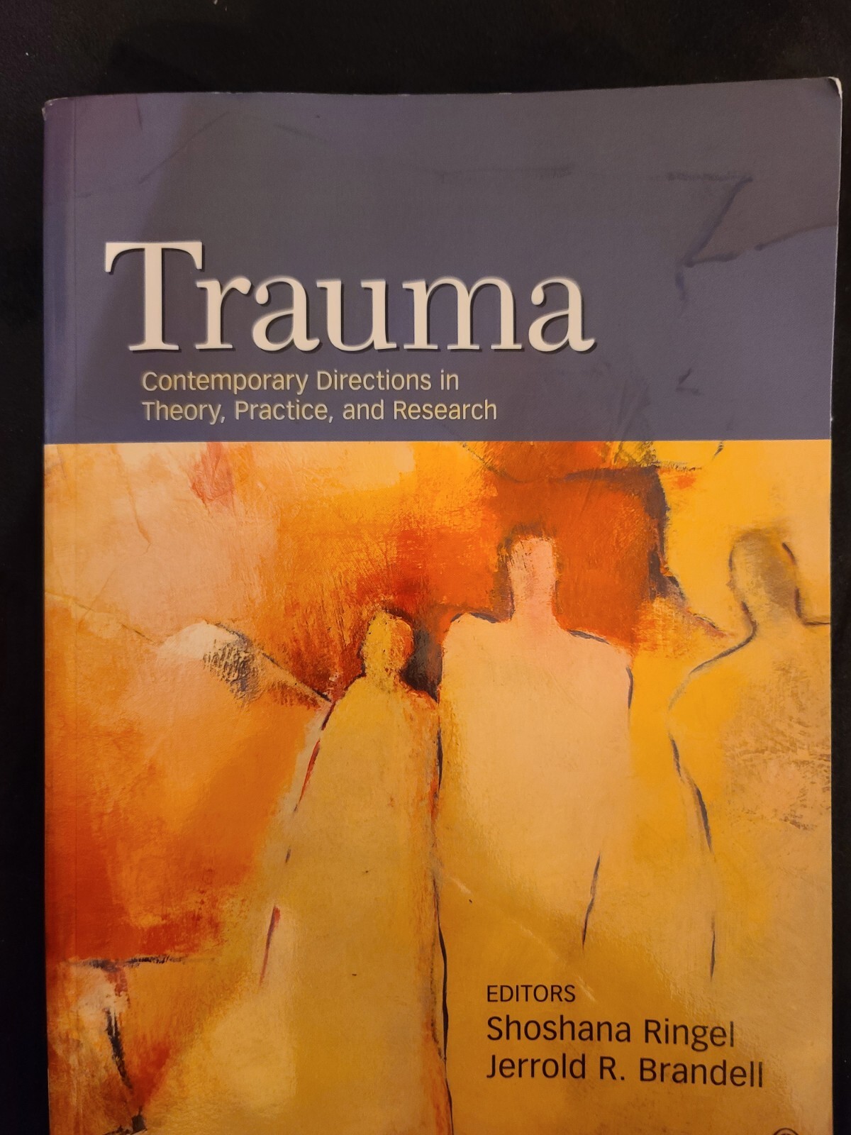 VG+42 Trauma – 9781412979825