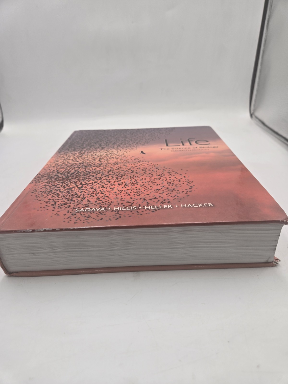 Life: The Science of Biology – Hardcover, by Sadava David E.; Hillis – Good
