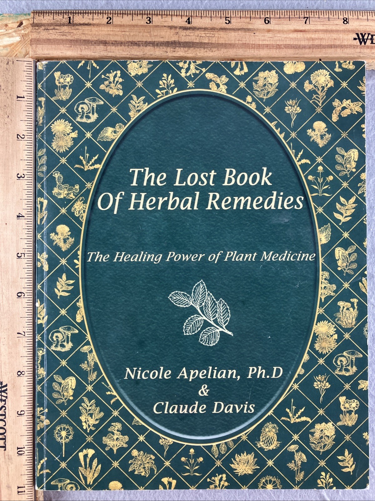 The Lost Book of Herbal Remedies – Davis – Apelian – Naturopathic Medical