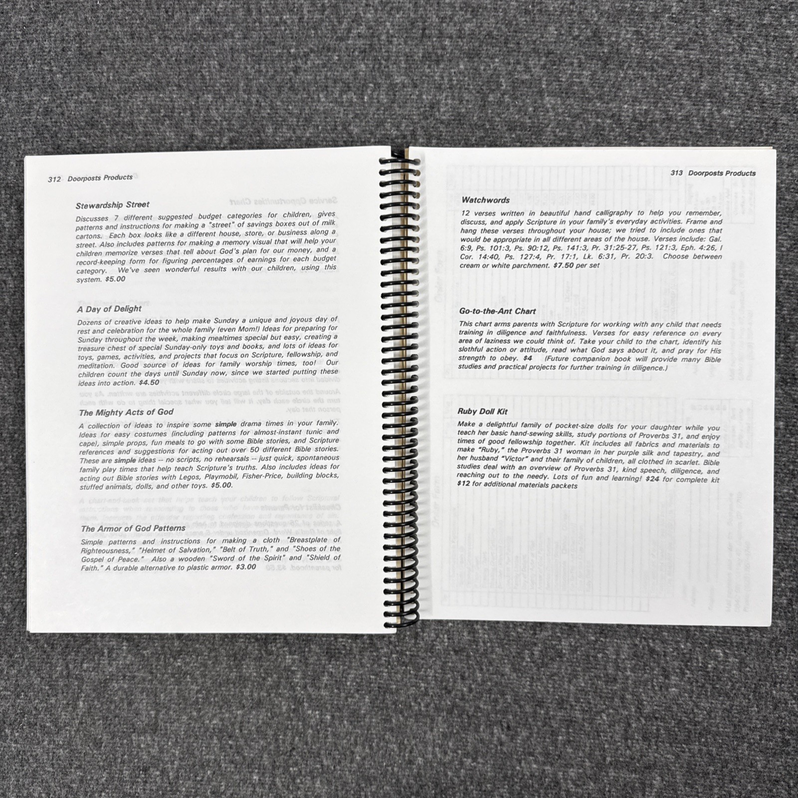 For Instruction in Righteousness (DoorPosts) Pam Forster 1995 Revised Edition