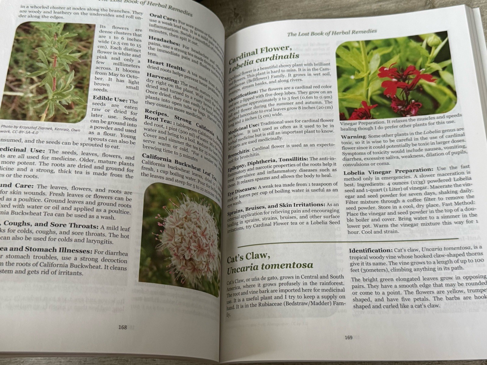 The Lost Book of Herbal Remedies-Plant Medicine-N. Apelian-2019-VERY GOOD Cond
