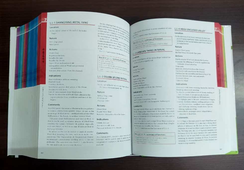 The Foundations of Chinese Medicine 3rd Ed By Giovanni Maciocia Expedite
