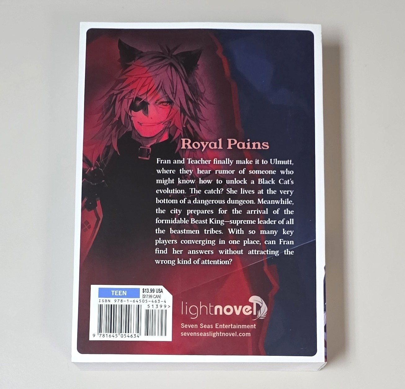 REINCARNATED AS A SWORD NOVEL 5 (Seven Seas 2020 Light SC ~ Yuu Tanaka)