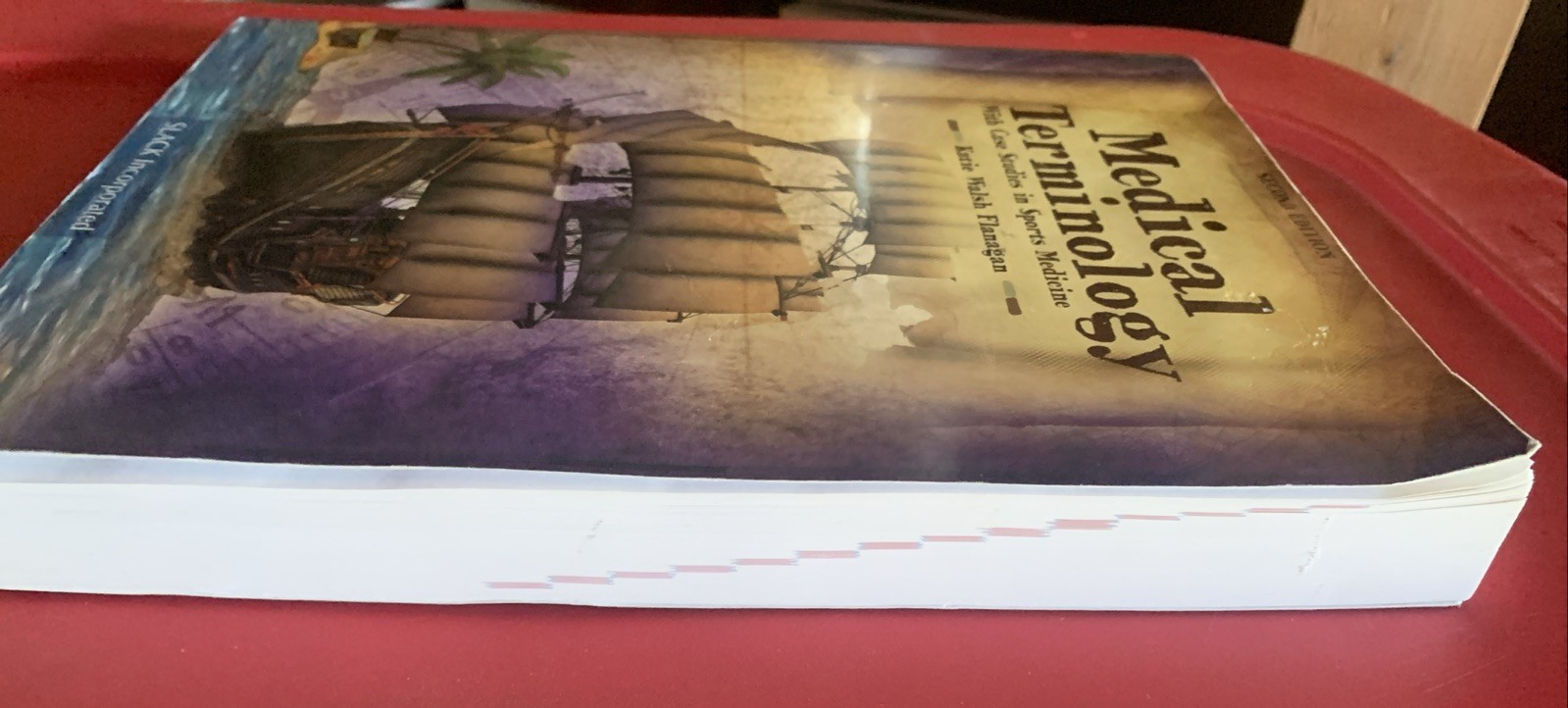 Medical Terminology with Case Studies in Sports Medicine by Katie Walsh Flanagan