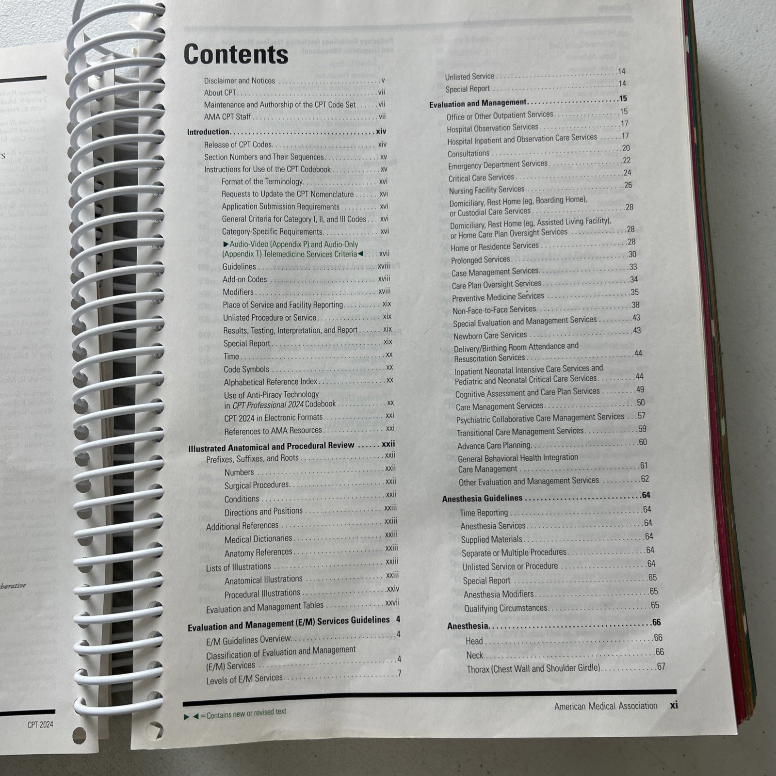 CPT Professional Edition 2024 by American Medical Association AMA Spiral