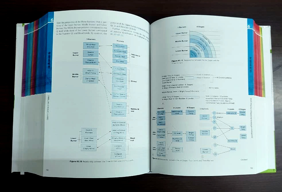The Foundations of Chinese Medicine 3rd Ed By Giovanni Maciocia Expedite