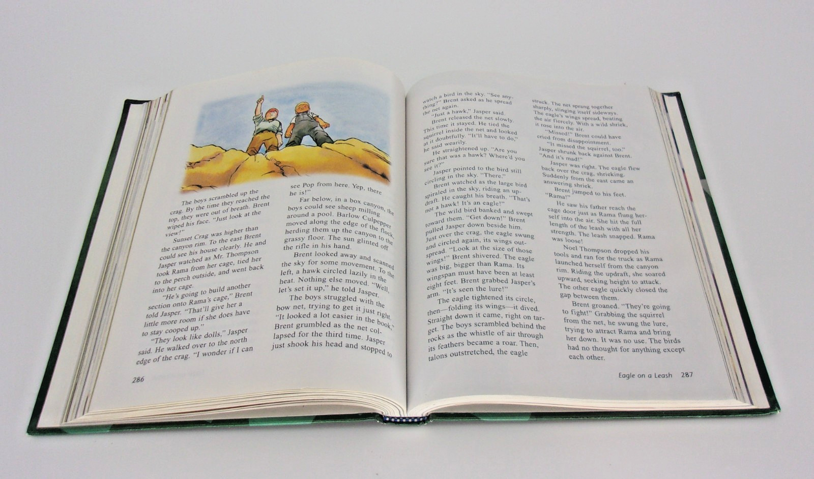BJU Press- Reading 5 for Christian Pages in My Head Second Edition-Hardcover