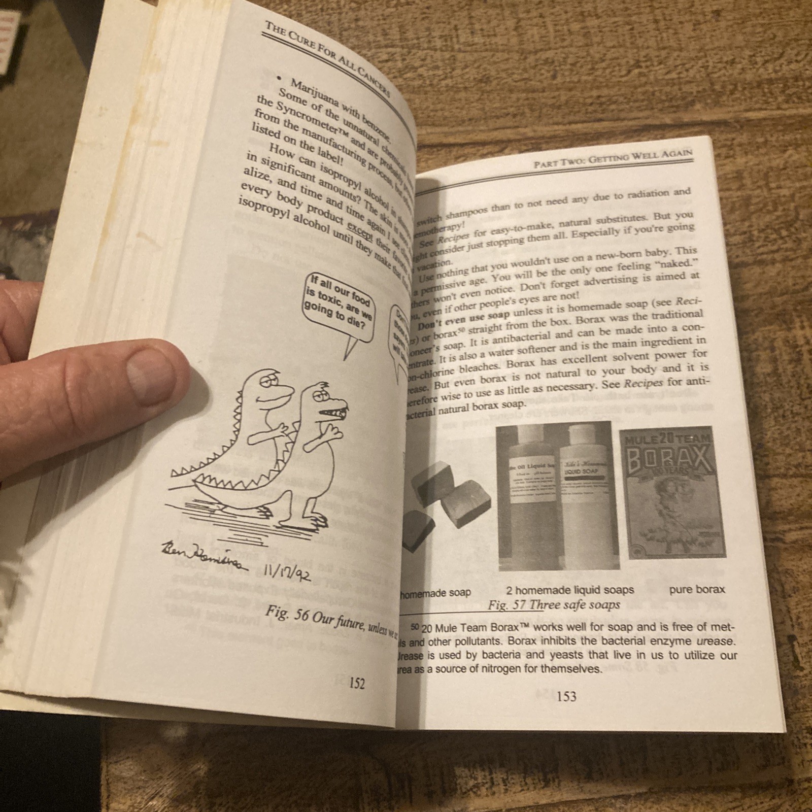 The Cure for All Cancers : With 100 Case Histories by Hulda Regehr Clark