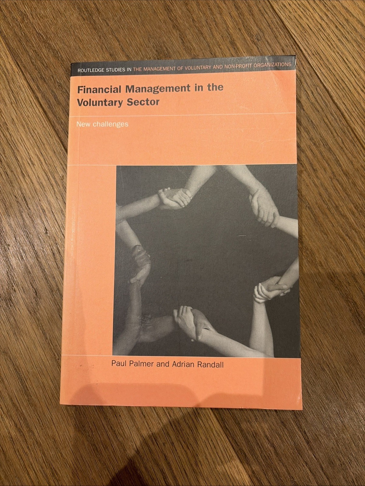 Financial Management in the Voluntary Sector: A, Palmer Paperback..
