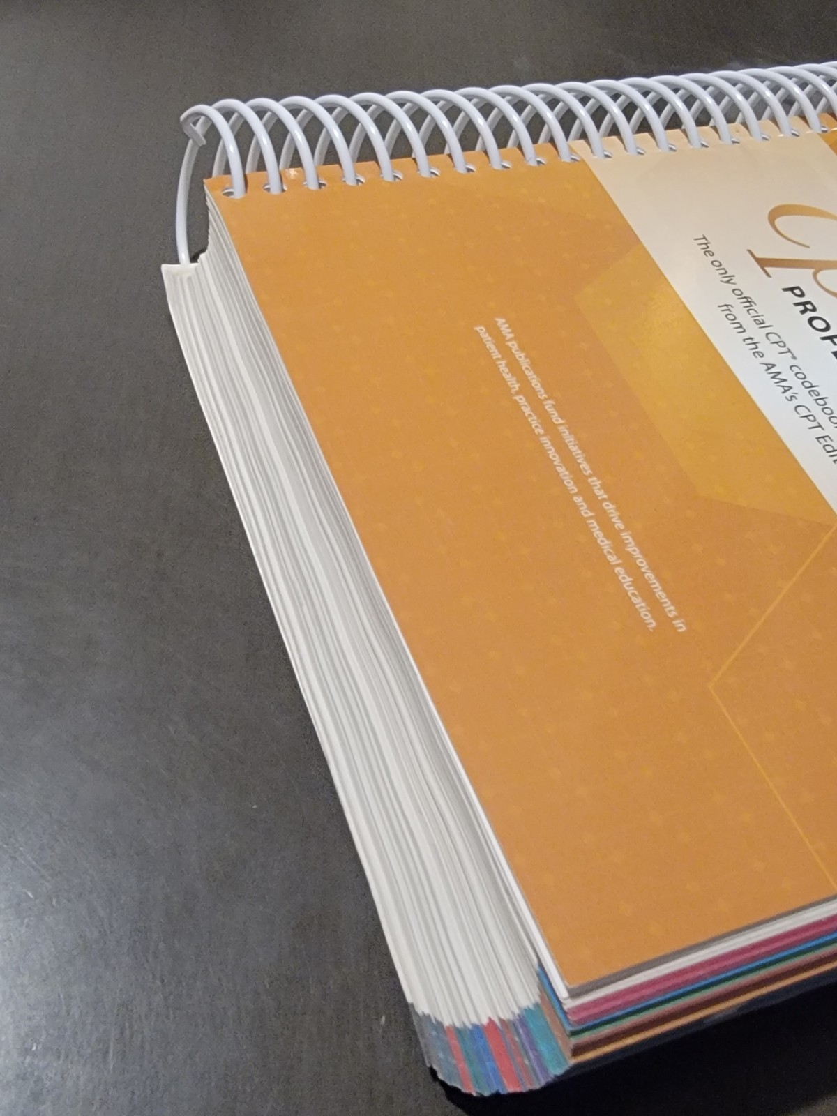 CPT 2024 Professional Edition AMA Medical Billing Coding Spiral Paperback Book