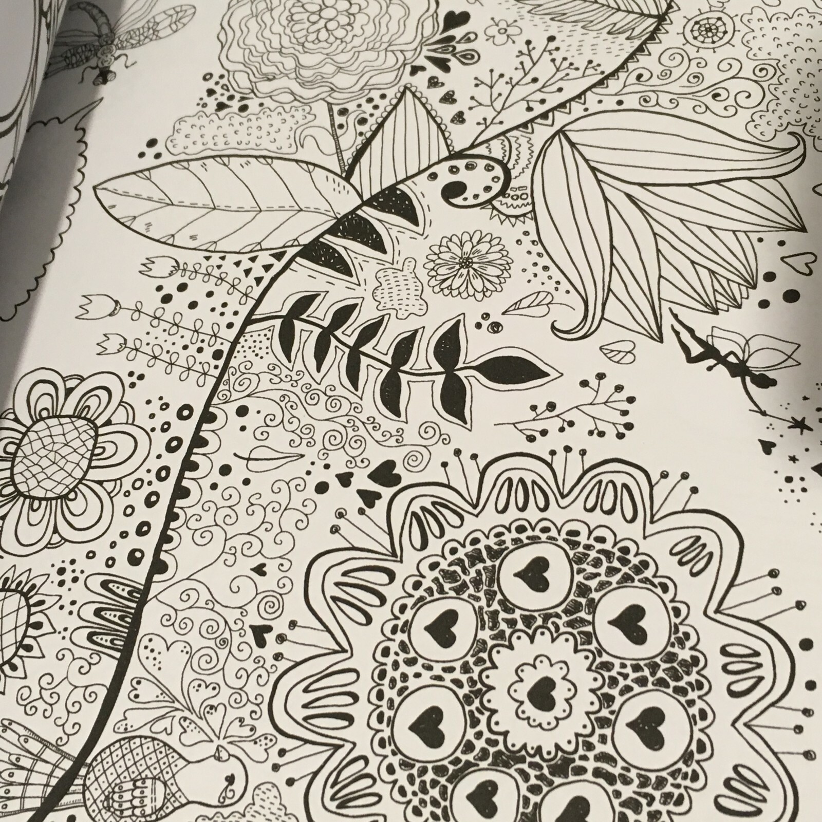 Coloring Book for Adults Relaxation: Flower, Floral, Butterfly Birds.. 160 pages