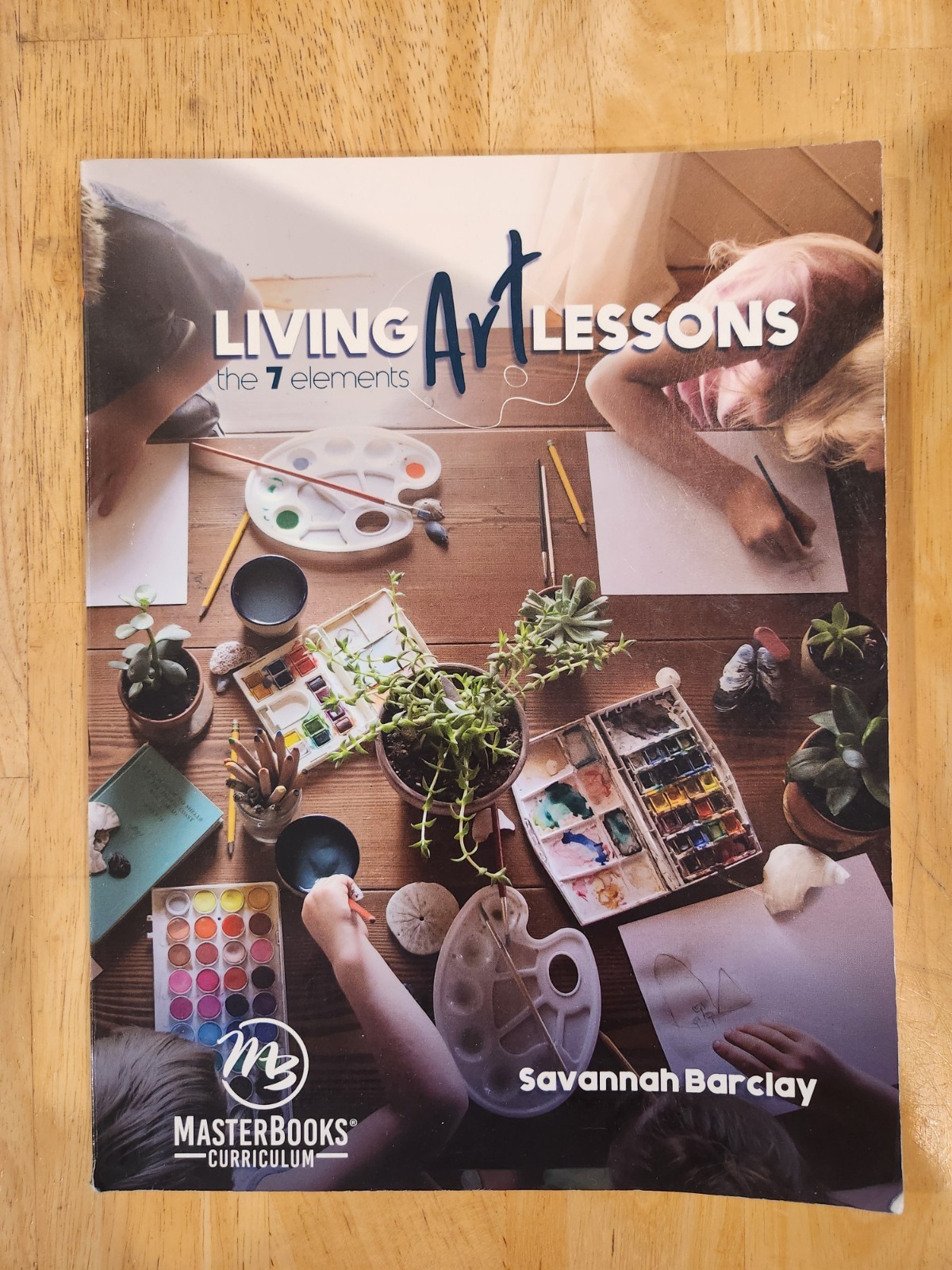 Living Art Lessons : The 7 Elements by Savannah Barclay (2019, Trade Paperback)