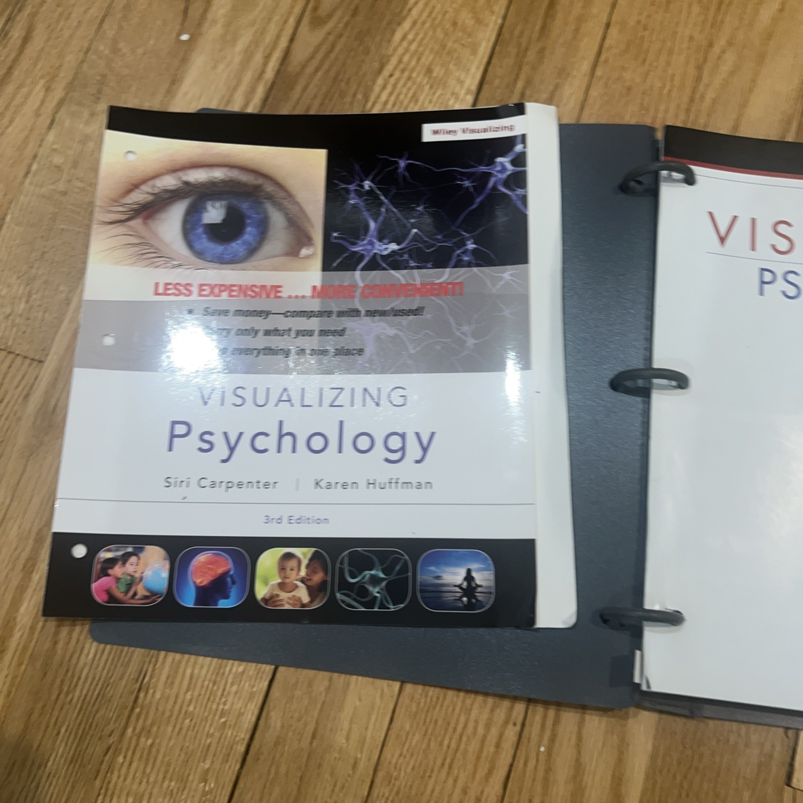 Visualizing Ser.: Visualizing Psychology by Karen R. Huffman and Siri Carpenter