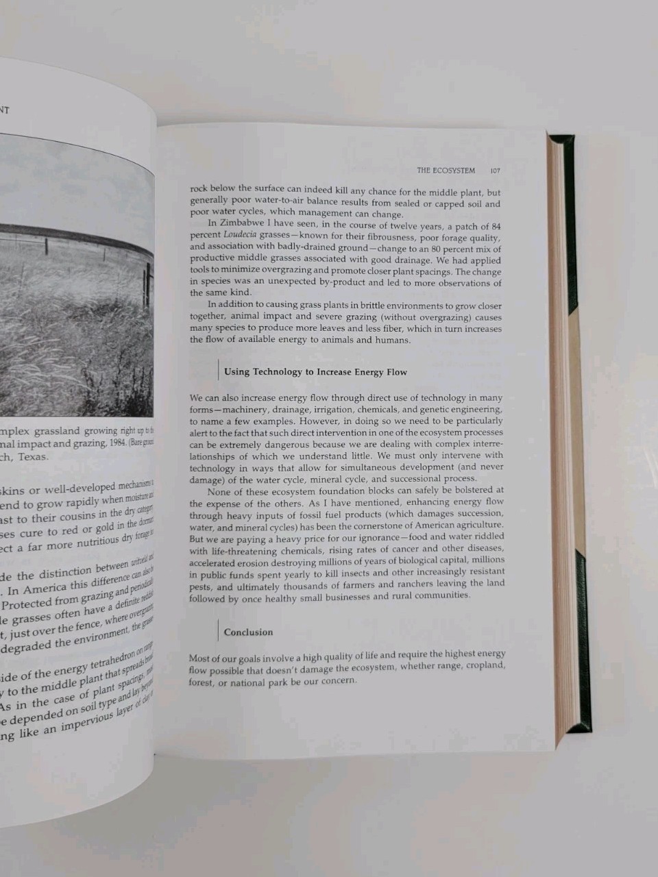 SIGNED Holistic Resource Management Alan Savory Limited Edition 464/500 HC