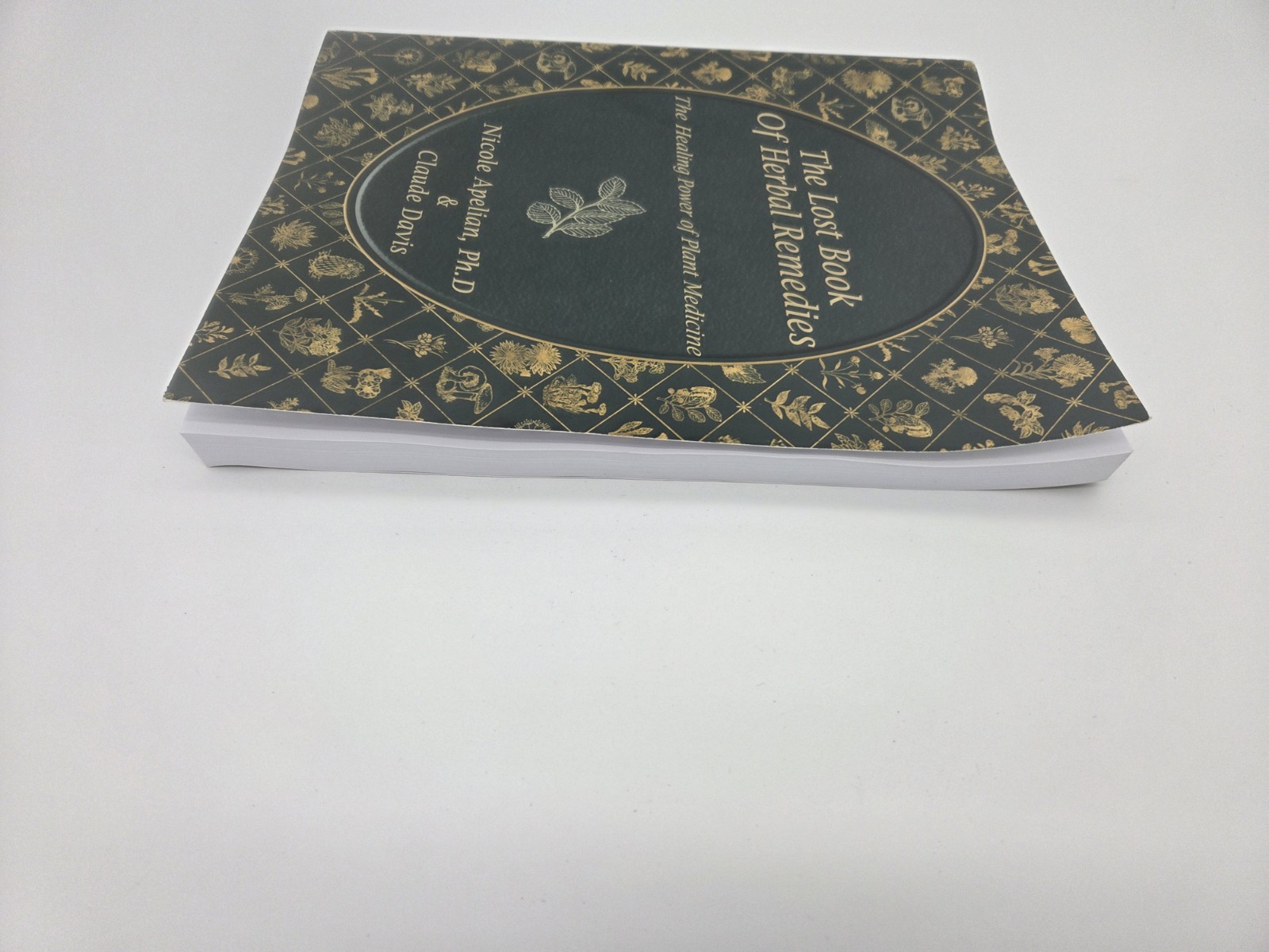 Paperback; The Lost Book of Herbal Remedies; Nicole Apelian & Claude Davis A16
