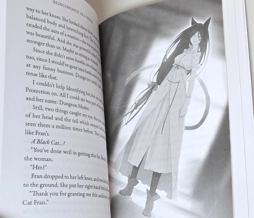 REINCARNATED AS A SWORD NOVEL 5 (Seven Seas 2020 Light SC ~ Yuu Tanaka)