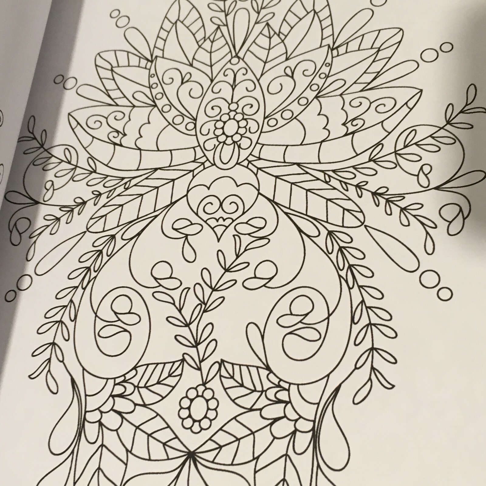 Coloring Book for Adults Relaxation: Flower, Floral, Butterfly Birds.. 160 pages