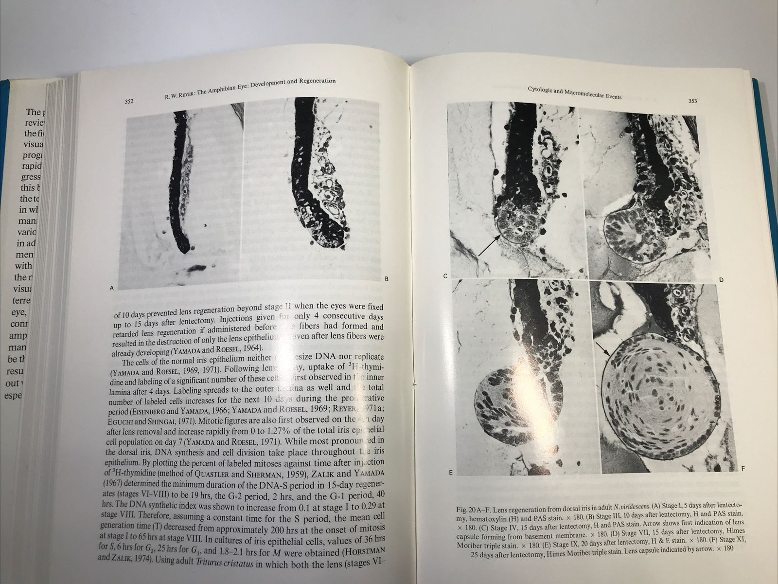 Handbook of Sensory Physiology Volume VII/5 The Visual System in Vertebrates