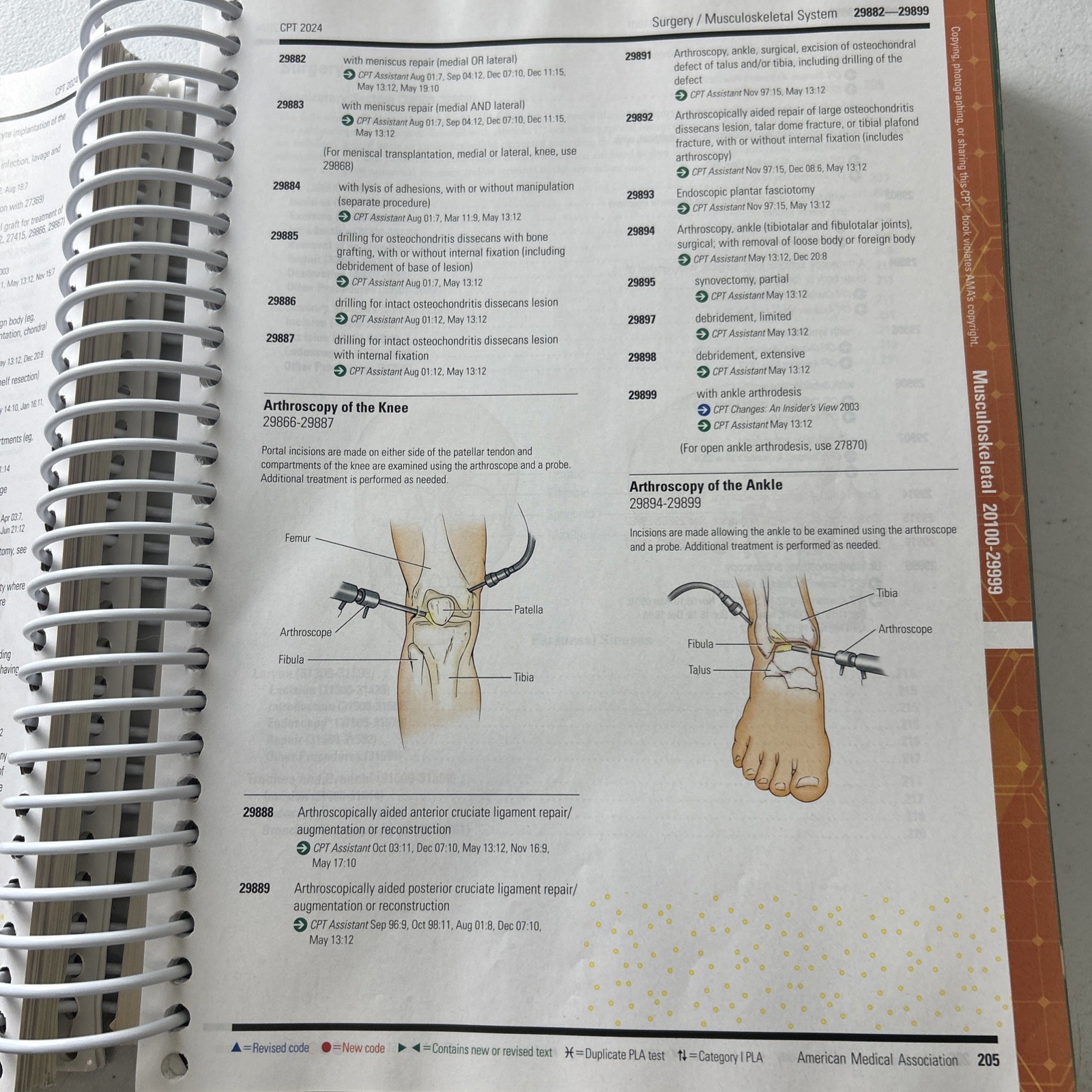 CPT Professional Edition 2024 by American Medical Association AMA Spiral