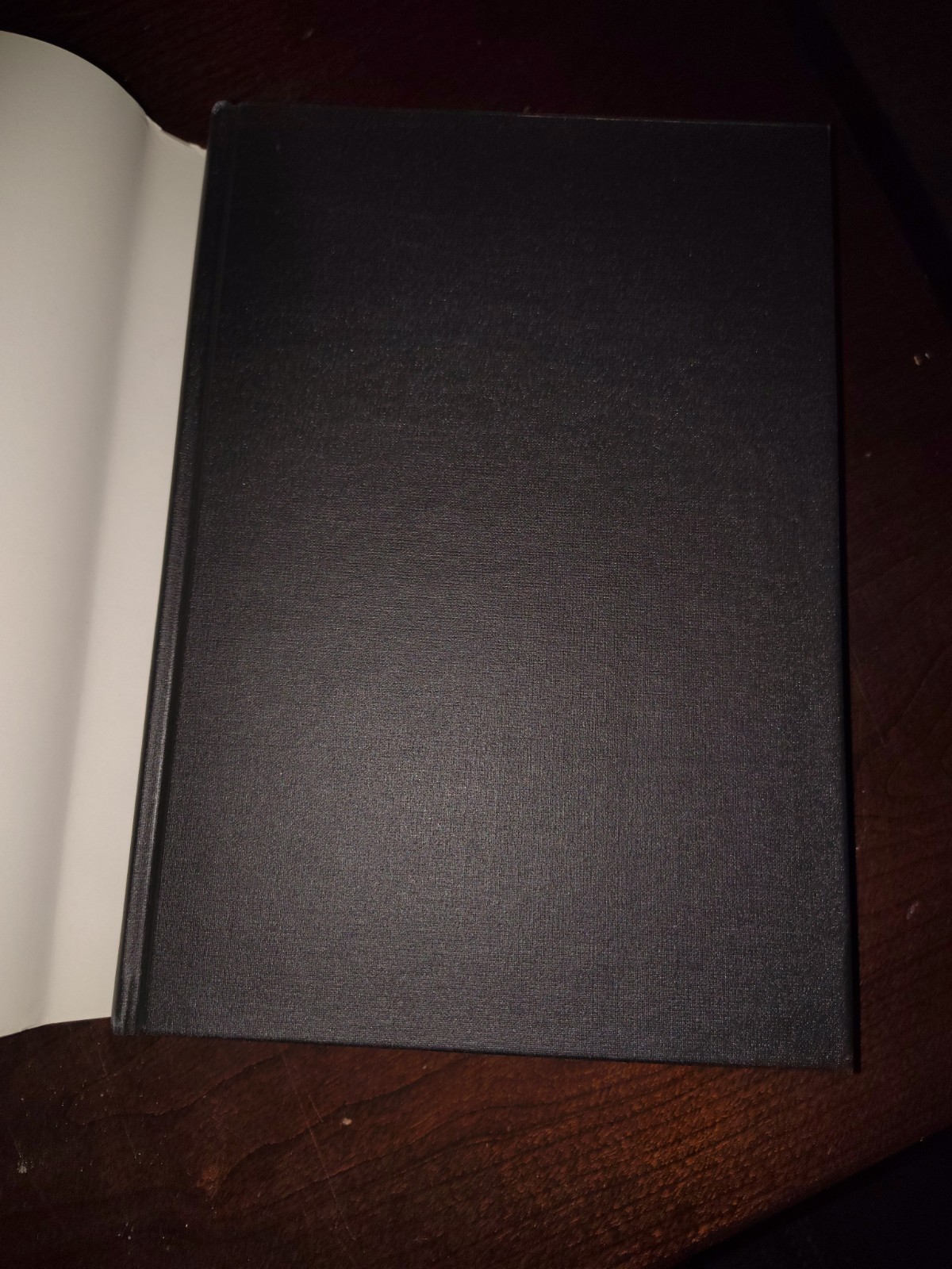 Visceral Manipulation by Pierre Mercier and Jean-Pierre Barral (2006, Hardcover)
