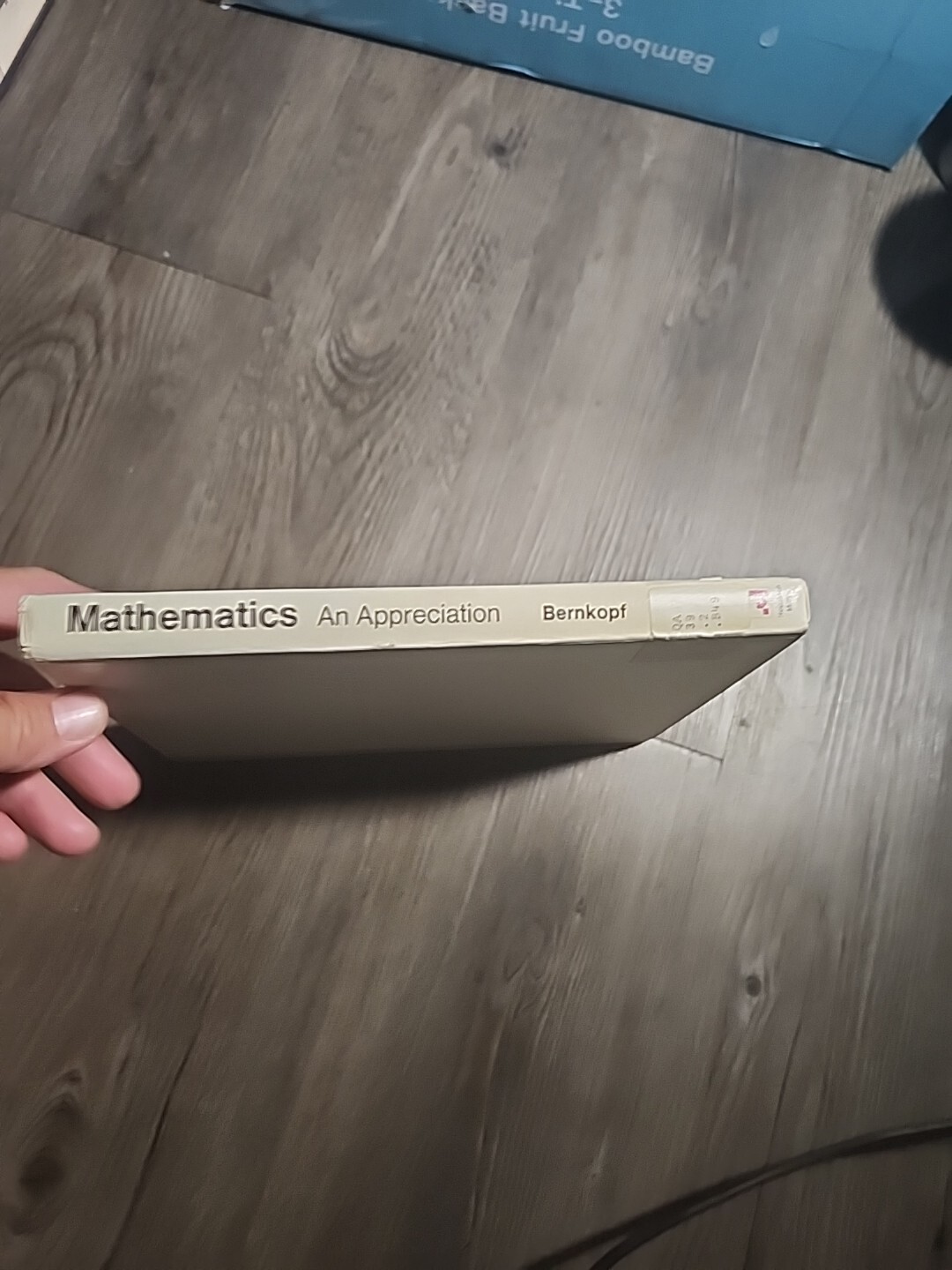 Mathematics An Appreciation Michael Bernkopf Hardcover 1975