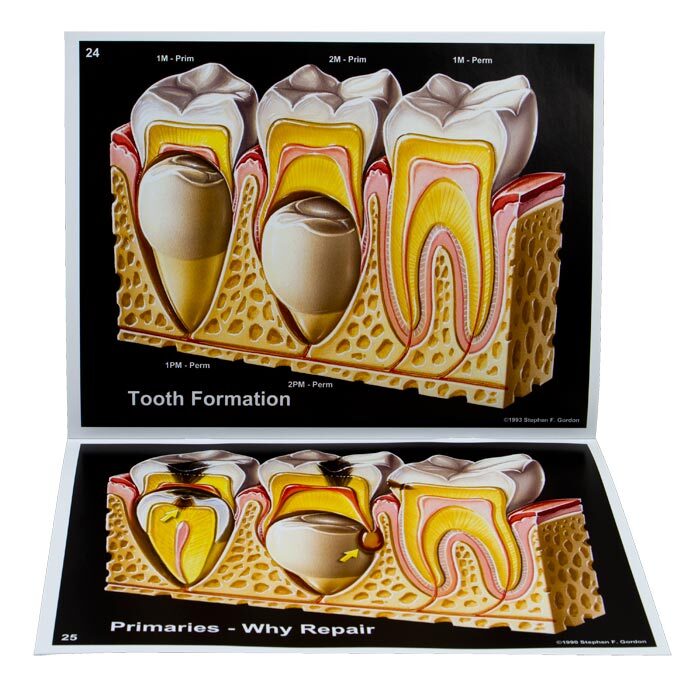 Consultation Illustration Book