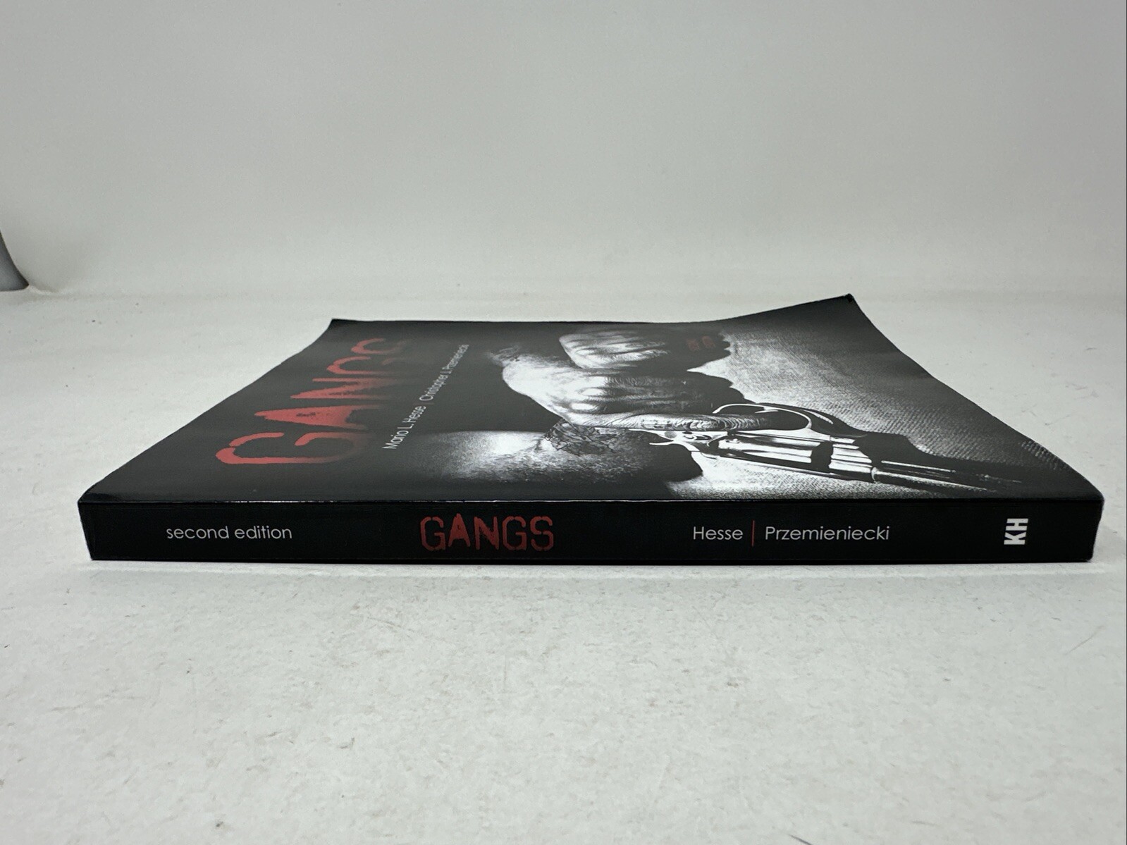 Gangs 2nd Edition by Hesse, Smith and Przemieniecki (2020, Paperback, UNMARKED!)