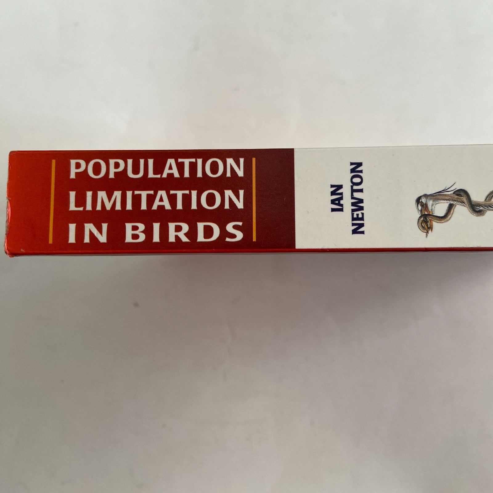 Population Limitation in Birds Paperback 1998 Ian Newton Academic Press