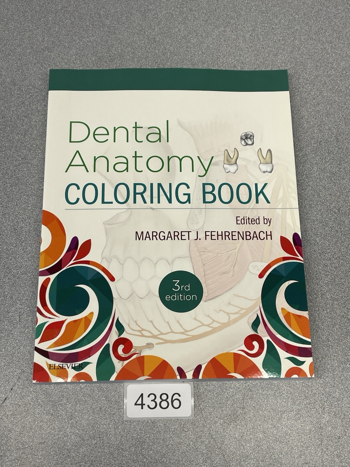 Dental Anatomy Coloring Book by Margaret J. Fehrenbach (2018, Trade Paperback)