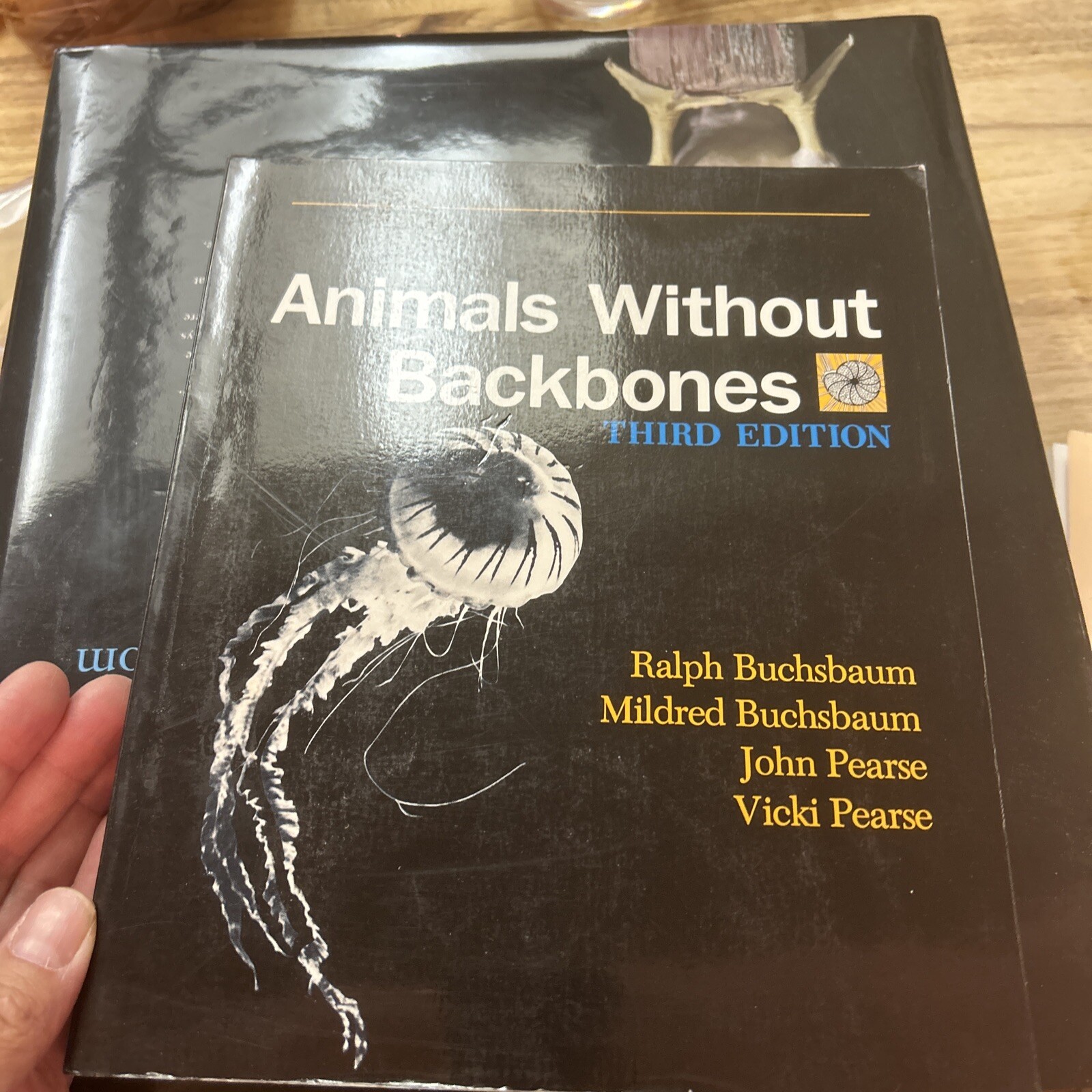 New Plan Texts at the University of Chicago Ser.: Animals Without Backbones : An