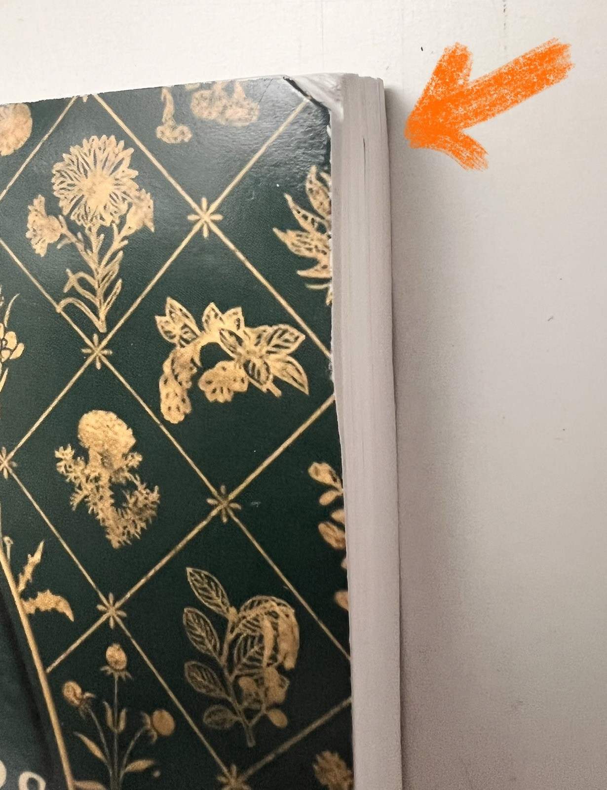 Lost Book of Remedies by Nicole Apelian and Claude Davis Sr. (2018, Uk- a Format