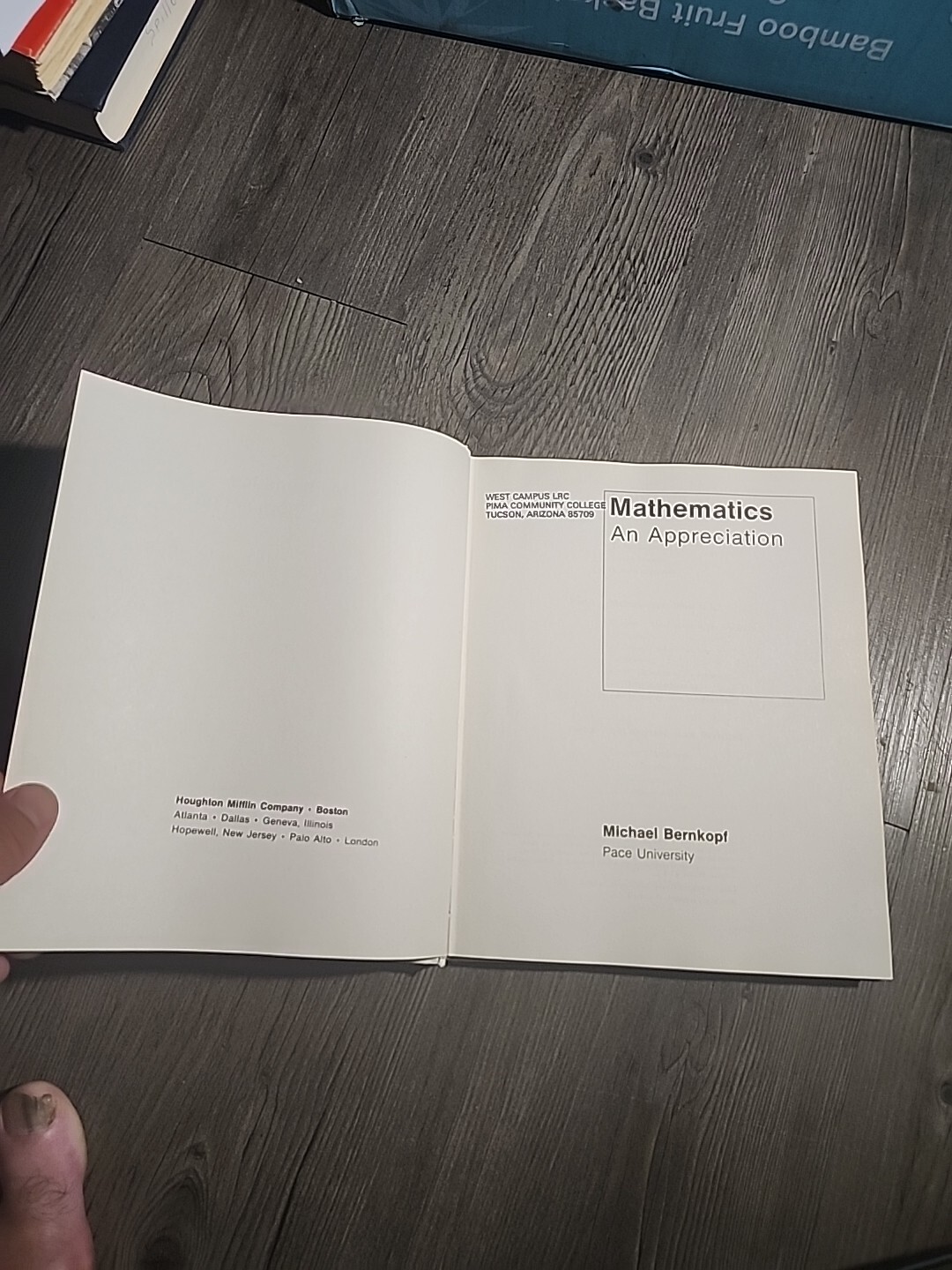 Mathematics An Appreciation Michael Bernkopf Hardcover 1975