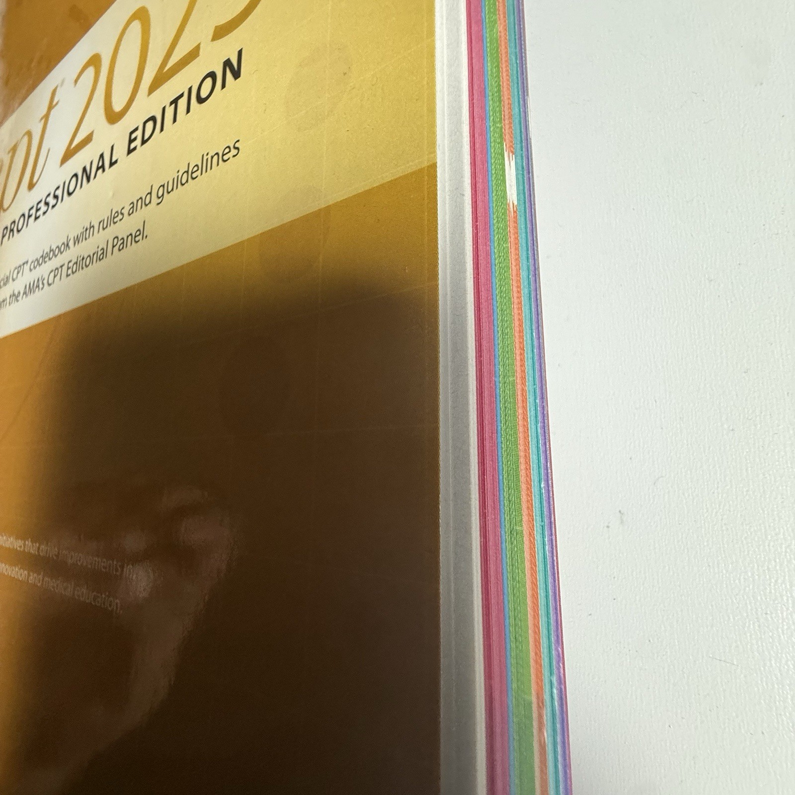 CPT Professional 2025 by American Medical Association