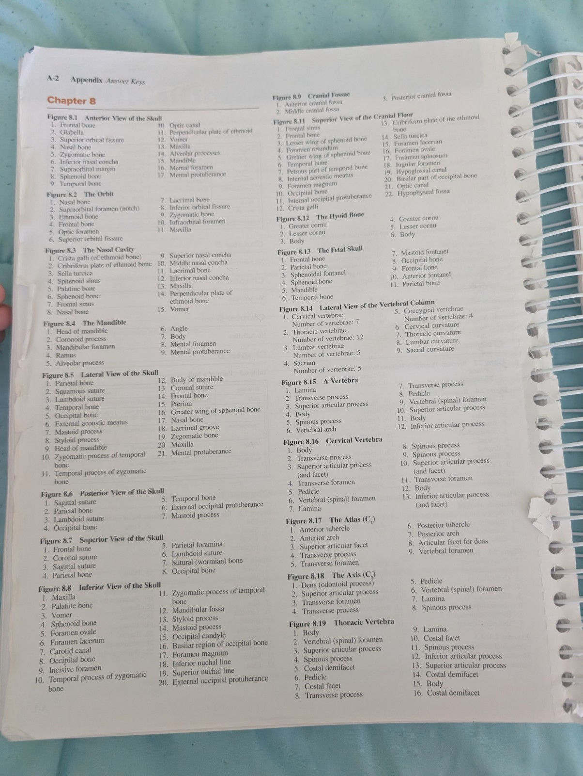 Lab Manual to Accompany Mckinley’s Anatomy & Physiology