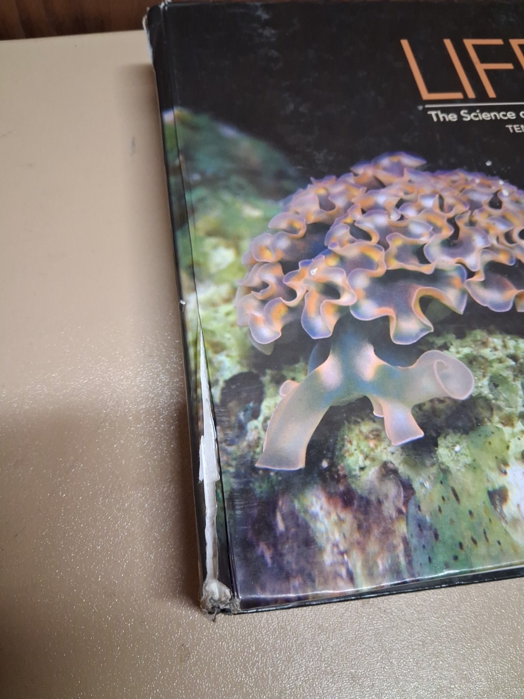 Life: The Science of Biology – Hardcover, by Sadava David; Hillis – Acceptable r