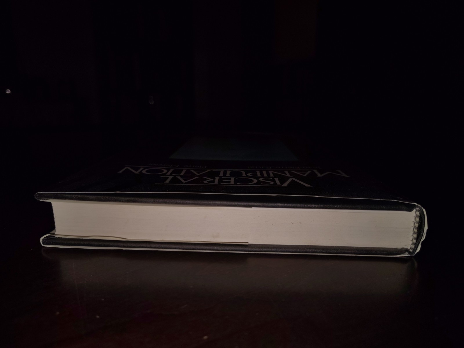 Visceral Manipulation by Pierre Mercier and Jean-Pierre Barral (2006, Hardcover)