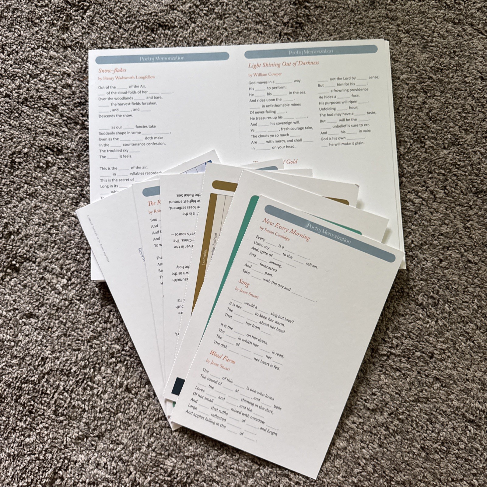 TGTB High School 1 Language Arts (Missing Unit Booklets)