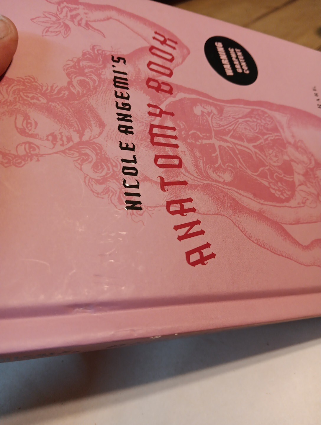 Nicole Angemi’s Anatomy Book A Catalog of Familiar Rare and Unusual Pathologies