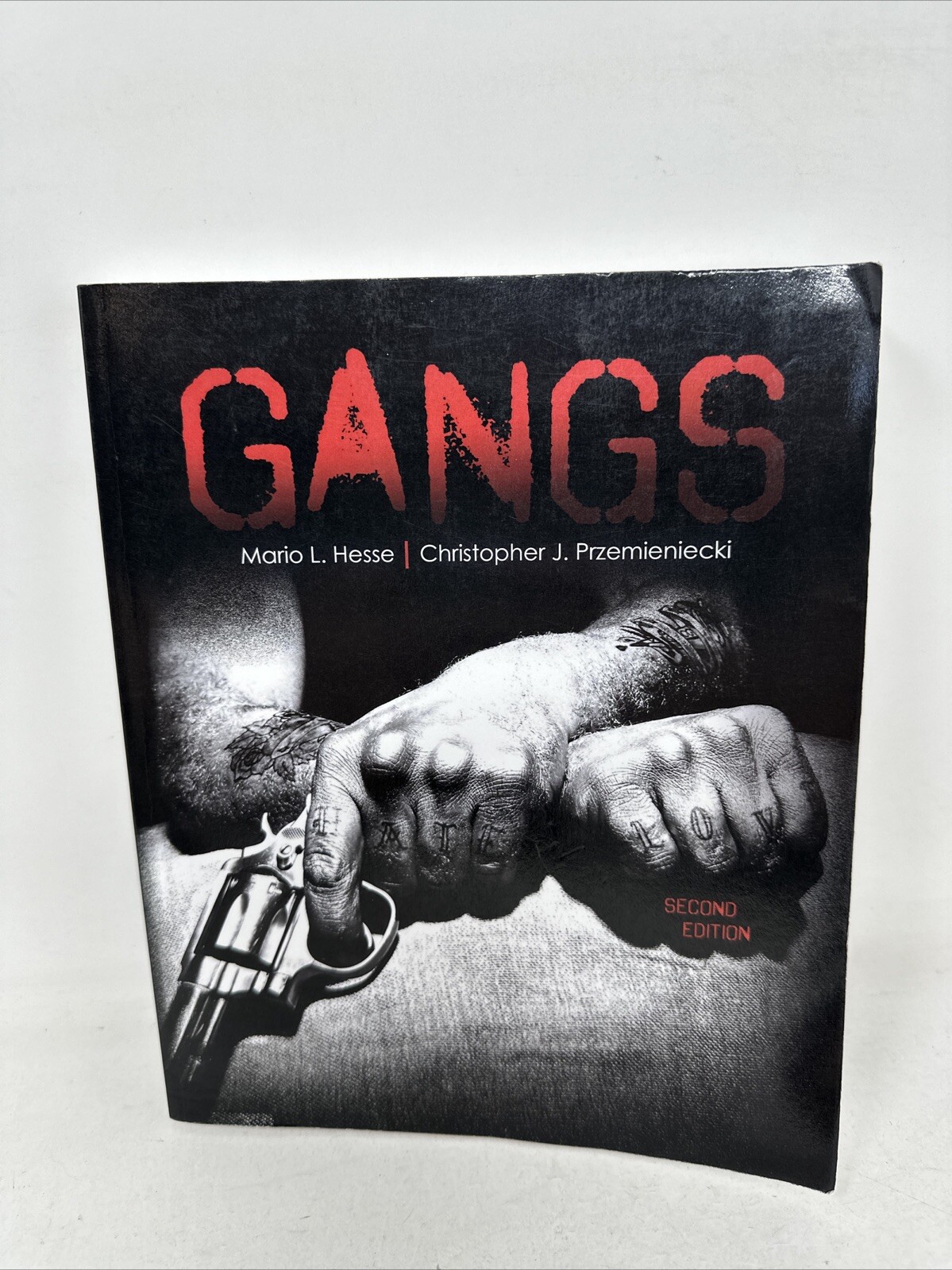 Gangs 2nd Edition by Hesse, Smith and Przemieniecki (2020, Paperback, UNMARKED!)