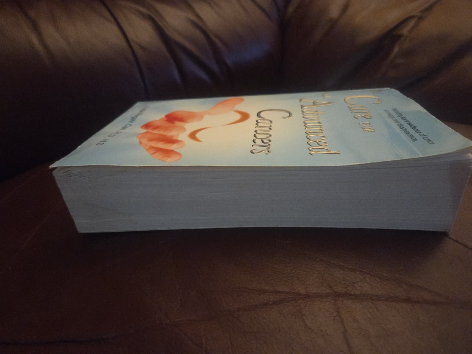 Cure for All Advanced Cancers by Hulda Regehr Clark (1999, Trade Paperback)