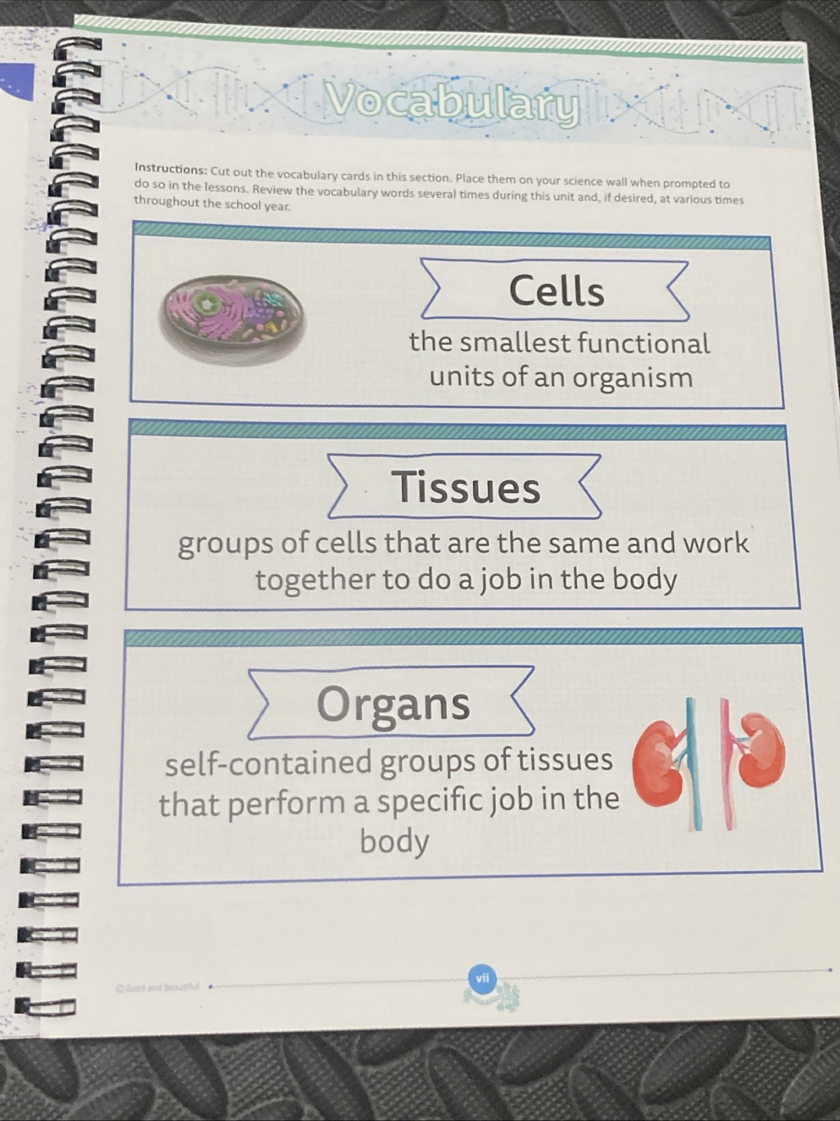 The Good & The Beautiful HEALTH AND THE PHYSICAL BODY 3-8 Science Unit Study