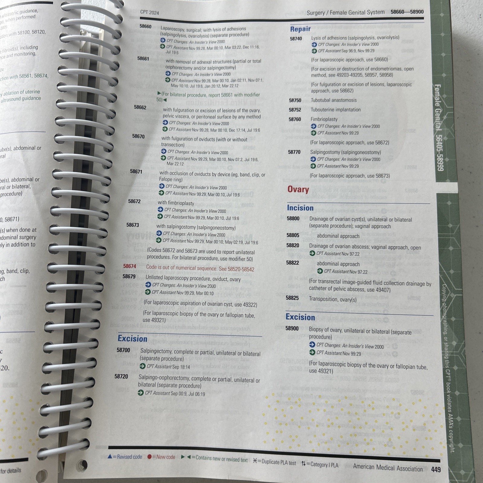 CPT Professional Edition 2024 by American Medical Association AMA Spiral