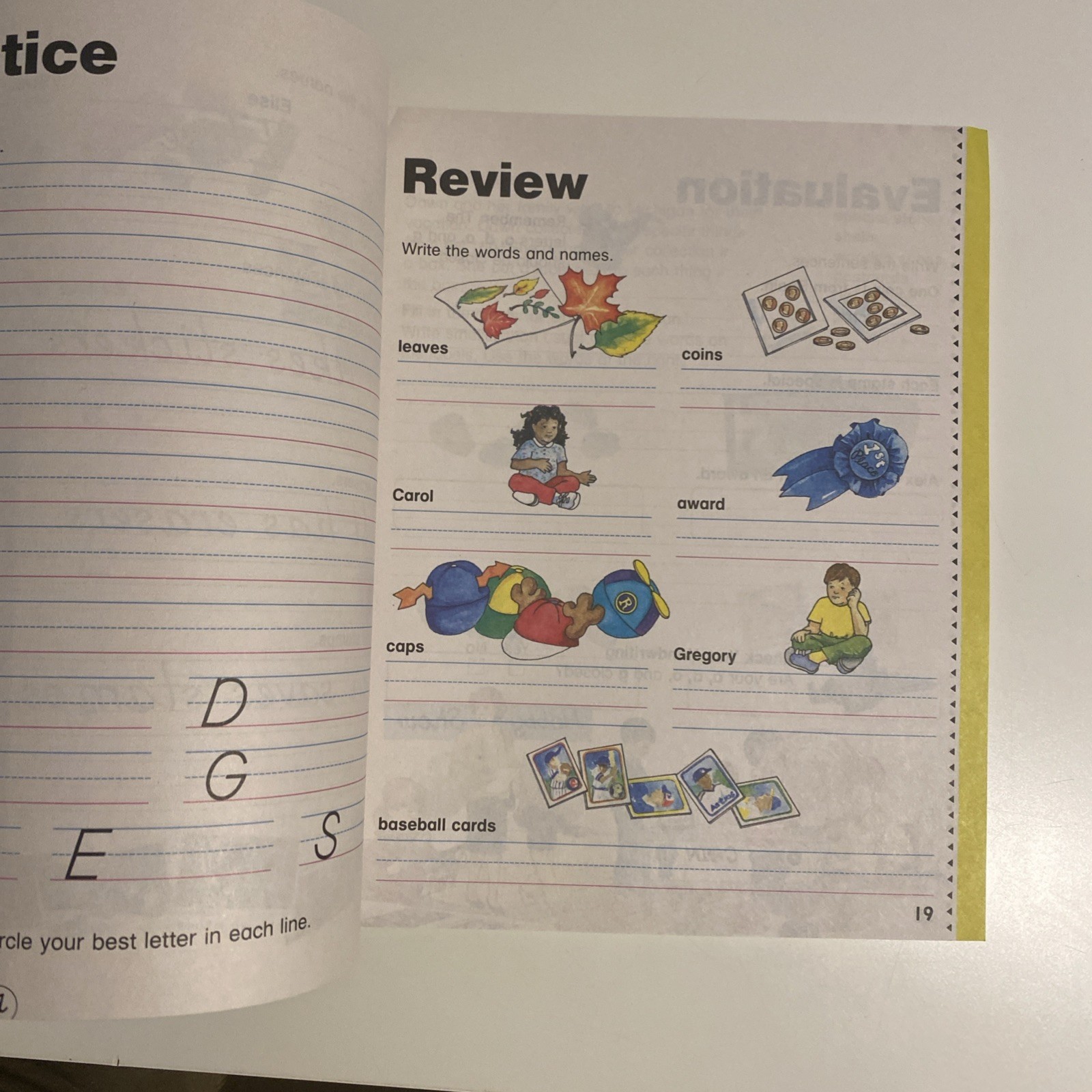 D’nealian Handwriting: Grade 2 by Scott Foresman