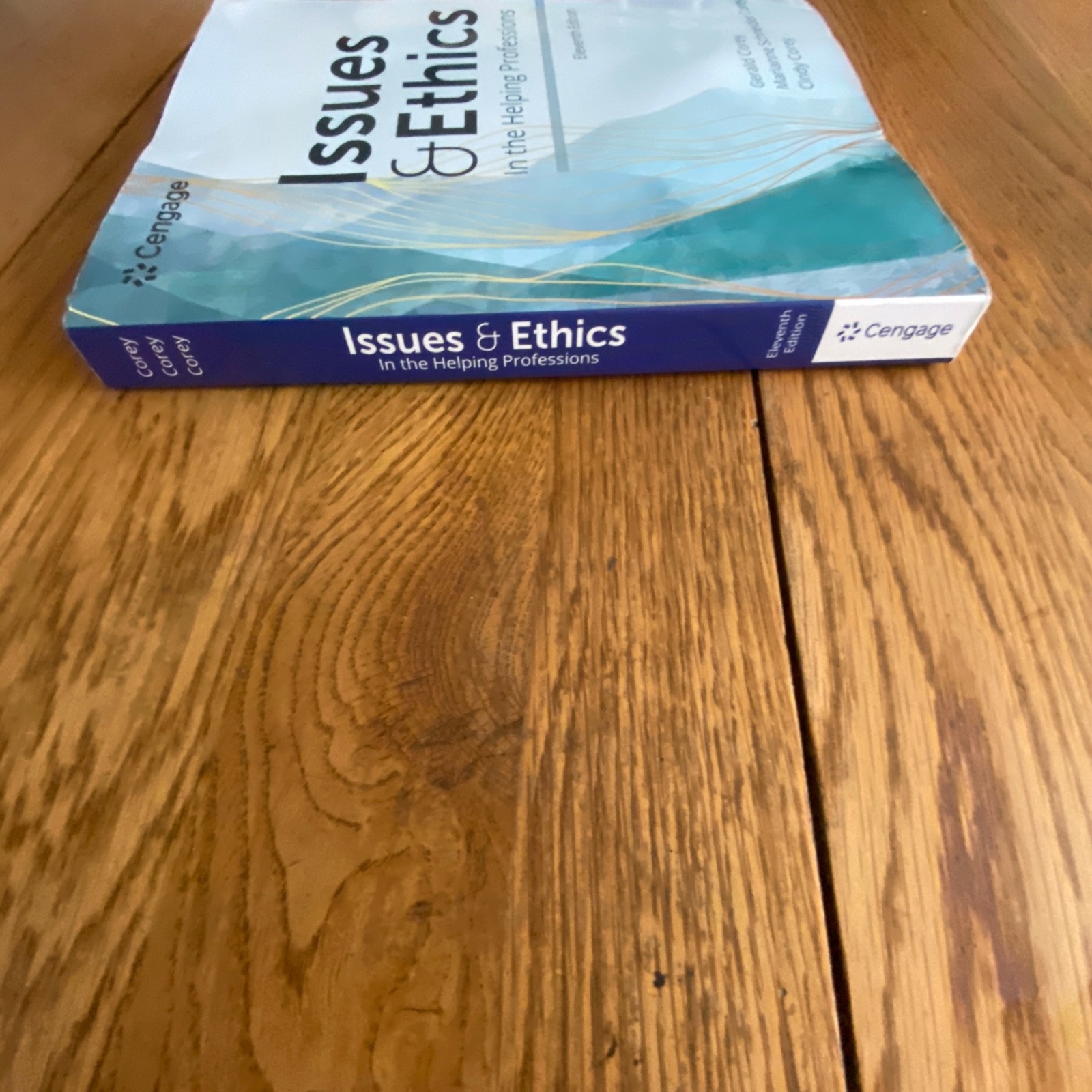 Issues and Ethics in the Helping Professions 11th Edition Paperback