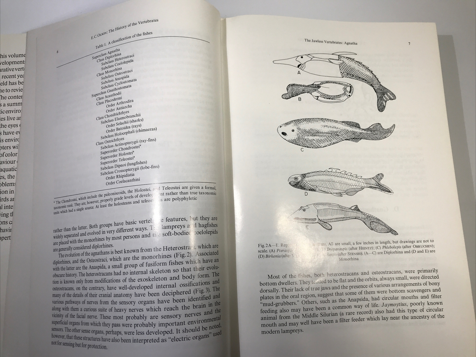 Handbook of Sensory Physiology Volume VII/5 The Visual System in Vertebrates